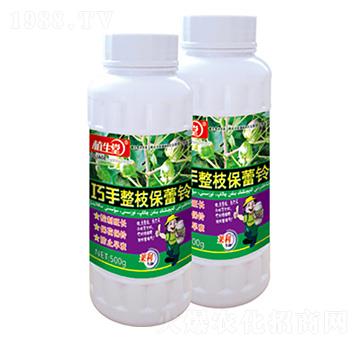 巧手整支保蕾鈴 植生堂 萊利生物