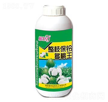 整支保鈴多桃王 植生堂 萊利生物