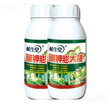 硼鉀膨大桃 植生堂 萊利生物