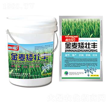 金麥矮壯豐 植生堂 萊利生物