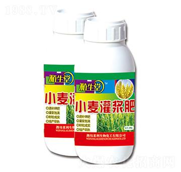 小麥灌漿肥 植生堂 萊利生物