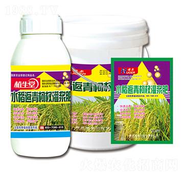 水稻返青灌漿肥 植生堂 萊利生物