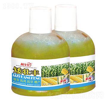 矮壯豐 植生堂 萊利生物