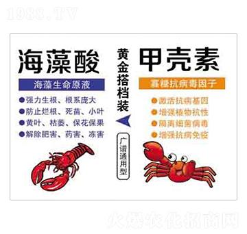 ������+�ך��� ����