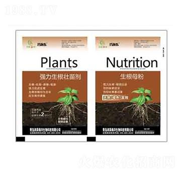 ��(qi��ng)���������焩+����ĸ�� ��(r��n)��