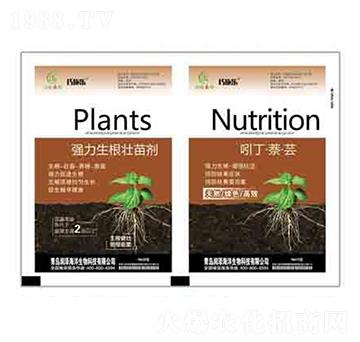 ��(qi��ng)���������焩+�Ŷ��������| ��(r��n)��