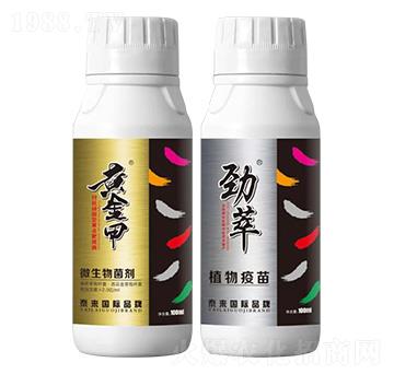 黃點靶斑雙效組合-泰來國際