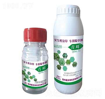 �������s�݌��ó��݄� ���� ʢ����