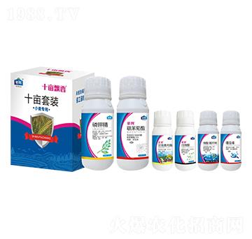 С������ʮ�����b ʮ���h�� ⠰��r(n��ng)�I(y��)