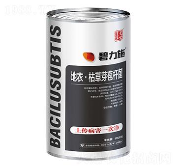 ���¡��ݲ�ѿ�ߗU�� ����ʩ ʥ���S��