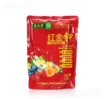 �M�ڼ��t� �t��� Ӣ����