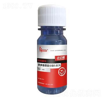 �����E�R����-ռӛ��-�s��ֲ��