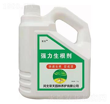 ��(qi��ng)�������� ����