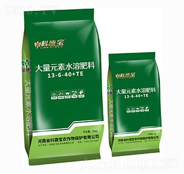 ����Ԫ��ˮ�ܷ���13-6-40+TE �Ƶ�