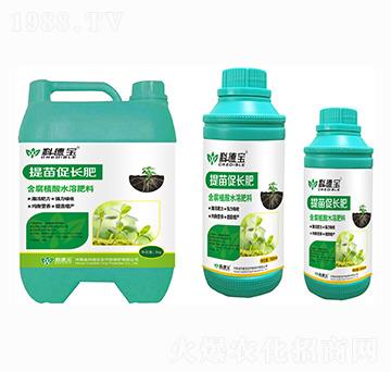 ������L(zh��ng)��-�Ƶ�