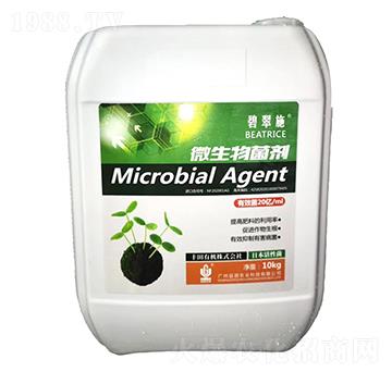 �̴�ʩ���ձ�΢������� ����r(n��ng)�I(y��)