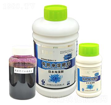 Ӣ��˼���ձ������� ����r(n��ng)�I(y��)