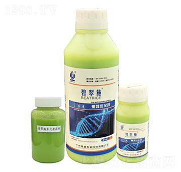 �̴�ʩ�����߃�(y��u)���� ���(gu��)�r(n��ng)�I(y��)