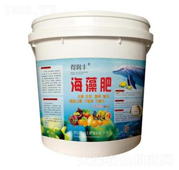 ����ʣ�5KG�� �Ý��S