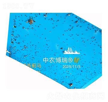 專門捕殺薊馬 中農(nóng)博瑞