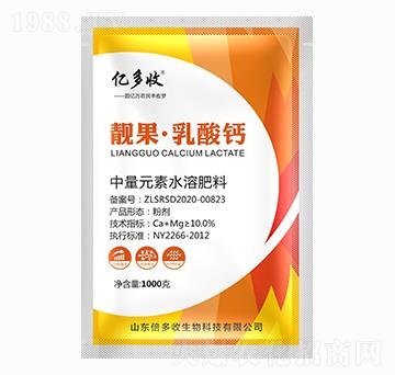 �n���������} �|���� ������