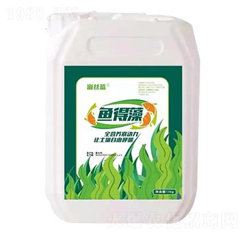 �~���� ���z�{(l��n)