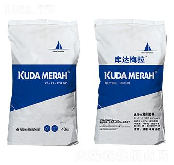 �M(j��n)�������ԏ�(f��)�Ϸ���17-17-17SOP ���_(d��)÷��