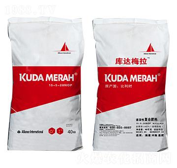 �M(j��n)�������ԏ�(f��)�Ϸ���15-5-20NOP ���_(d��)÷��