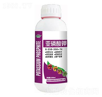 1000ml�������0-550-350+TE �����a ���ؿ�