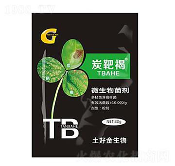 30g̿�к� ���ý�