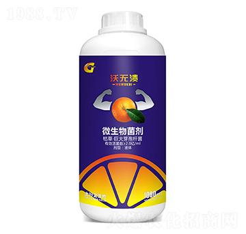 ΢������� �֟o�� ���ý�