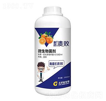 ΢������� ���� ���ý�