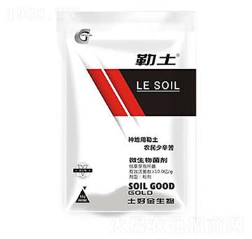 50g΢������� ���� ���ý�