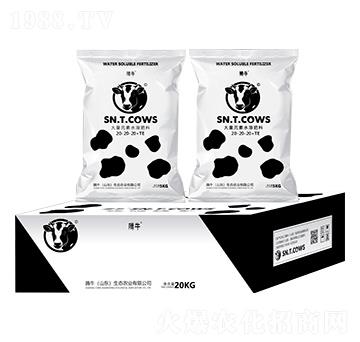 大量元素水溶肥料20-20-20+TE-騰牛