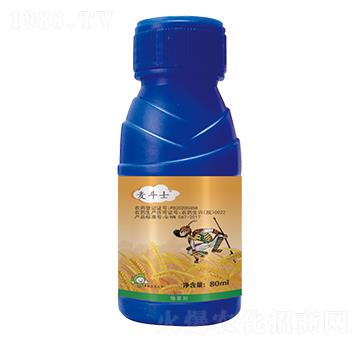 5%唑啉草酯-麥斗士-豐收樂