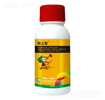 24%煙·莠(安全型)-隴上喜-豐收樂