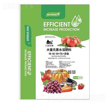 ����Ԫ��ˮ�ܷ���18-18-18+TE+���� һ������