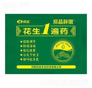 ����1��ˎ ��Ʒ�ֶ� ��Ʒ