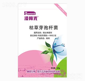 枯草芽孢桿菌-潰陽光-鼎微生物