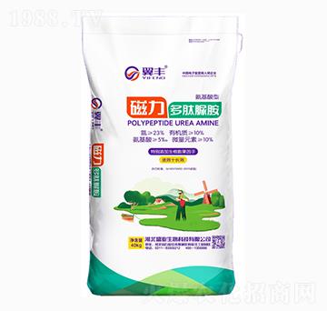 �������ʹ��������尷-���S-ʢ�I(y��)