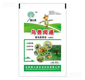 �ӏ����B�F�� �ѹ�Ӣ�r(n��ng)�I(y��)