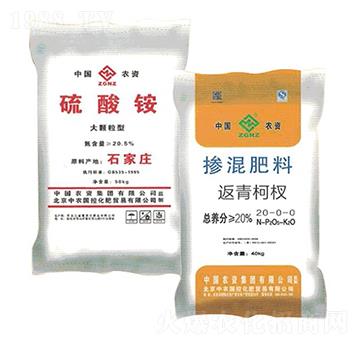 �����@+�����-��˼���ʘI(y��)