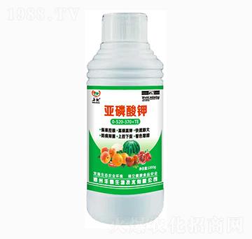 �������0-520-370+TE-�S��-�S������