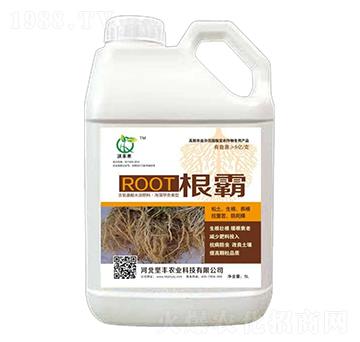 5L����-���S��-���S�r(n��ng)�I(y��)