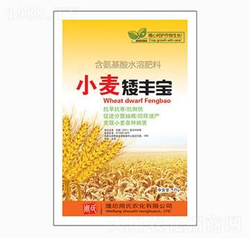 小麥矮豐寶-周氏農化