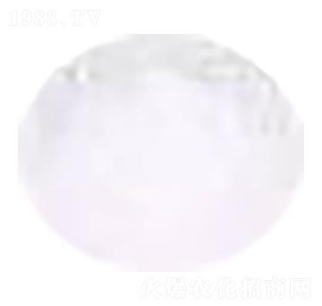 ���ʟo(w��)�������� ؐ���Z�r(n��ng)�I(y��)