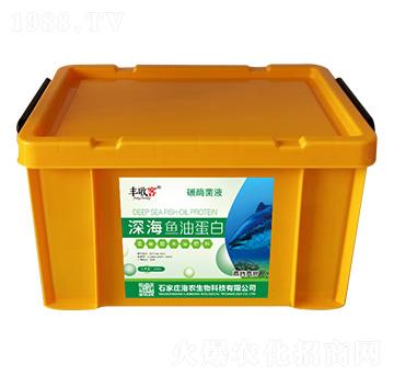 ��~�͵���-�S�տ�-���r(n��ng)����