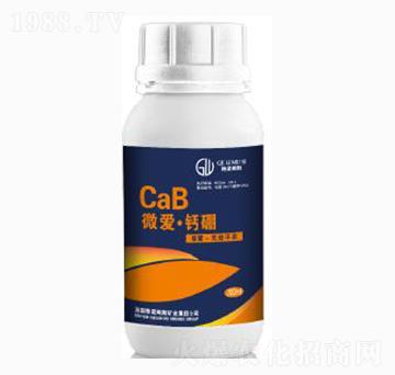 ΢��(��i)���}��τ�-�|���r(n��ng)�I(y��)