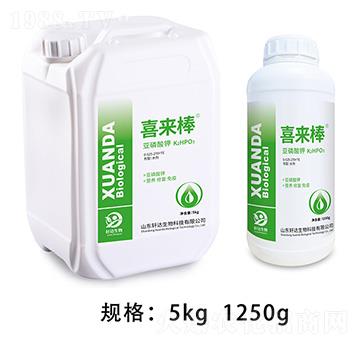 ������� ϲ���� ܎�_����