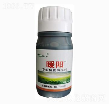 植物防凍劑-暖陽-金大地